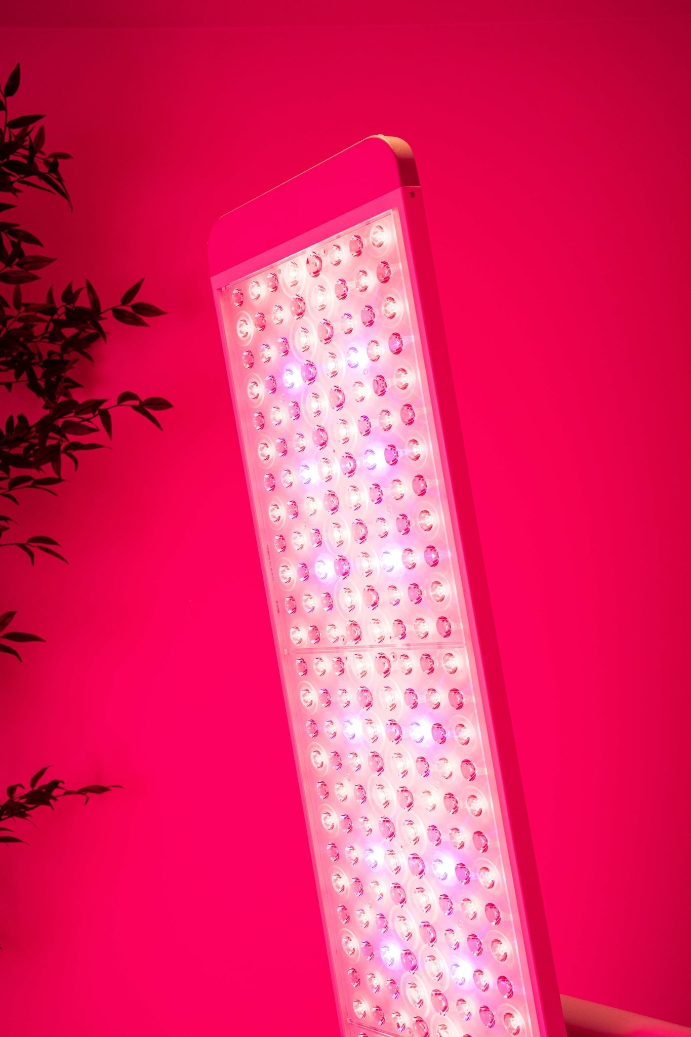 Renew Panorama Red Light Therapy Panel