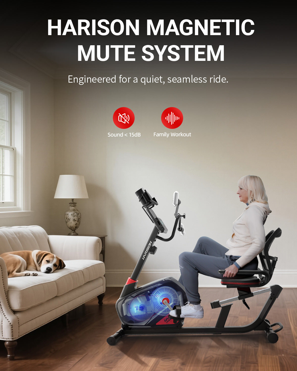 Harison HR-B8A RE Home Recumbent Exercise Bike
