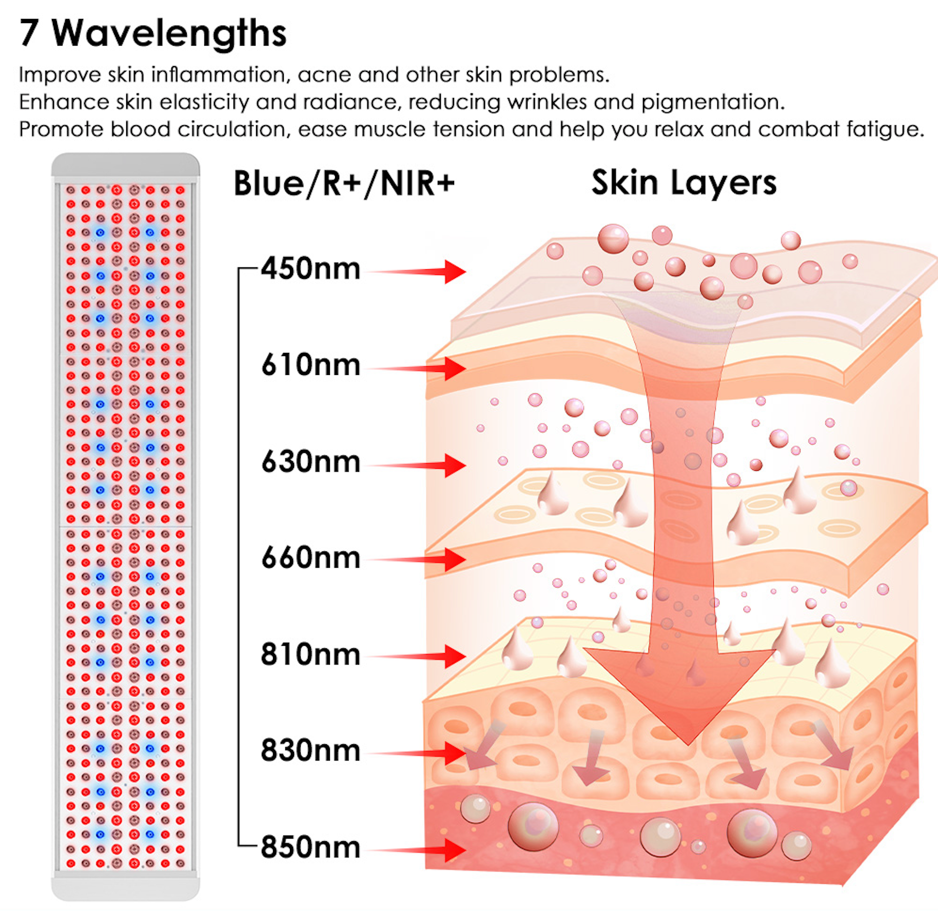 Renew Panorama Red Light Therapy Panel